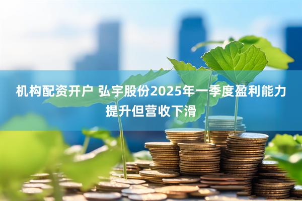 机构配资开户 弘宇股份2025年一季度盈利能力提升但营收下滑